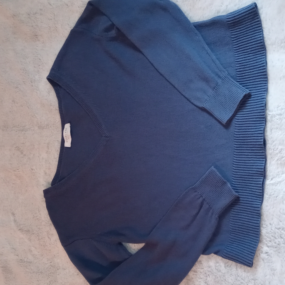 Everlane blue crop sweater